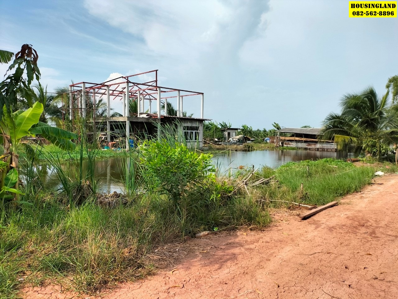 ขายที่ดินซอยระพีพัฒน์ 5 คลอง12 หนองเสือ  ตำบลนพรัตน์  อำเภอหนองเสือ จังหวัดปทุมธานี  